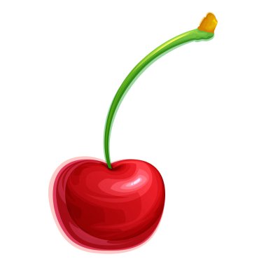 Güzel ve lezzetli bir kiraz sapıyla