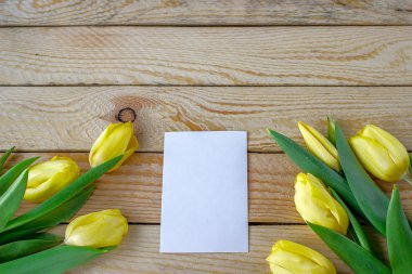 Lale kopya alanı ile