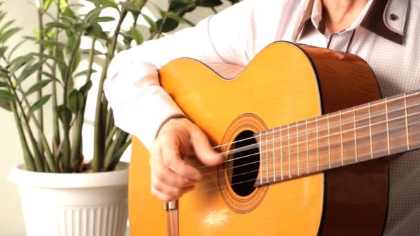 Man een klassieke gitaar spelen — Stockvideo