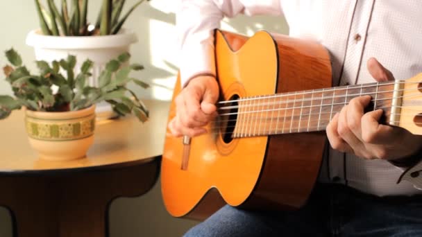 Hombre tocando una guitarra clásica — Vídeos de Stock