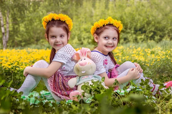 Two adorable little girls  playing on the meadow — Stock Photo, Image