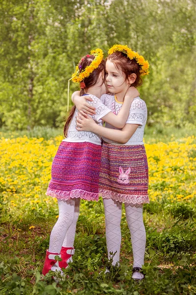 Two little girls  playing on the meadow — Stock Photo, Image