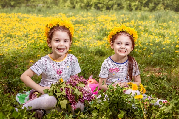 Two cute little sisters having fun while sitting on the grass — Stock Photo, Image