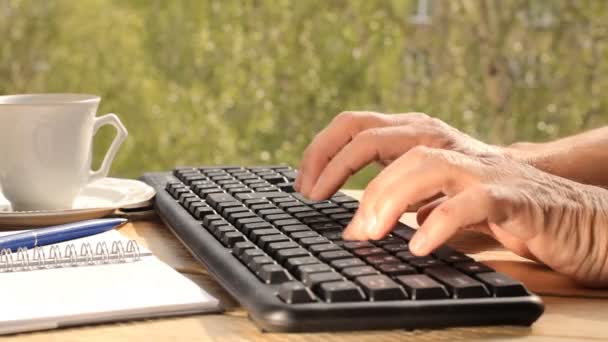 Руки печатают на клавиатуре — стоковое видео