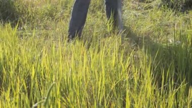 Adam saman tavşan için mows