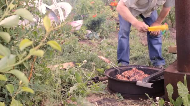 Bucăți de carne de pui prăjite pe un grătar de cărbune, în aer liber — Videoclip de stoc