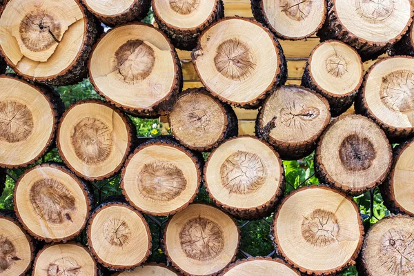 Pile of cut wood stump log texture — Stock Photo, Image