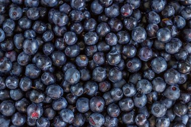 taze yaban mersini aldı