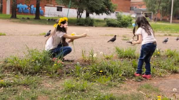 İki küçük kız kardeş dandelions toplanan — Stok video