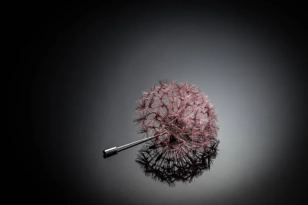 Karahindiba Çiçeğinden Yapılmış Mücevherler Lüks Konsept Güzel Yapımı Beyaz Yuvarlak — Stok fotoğraf