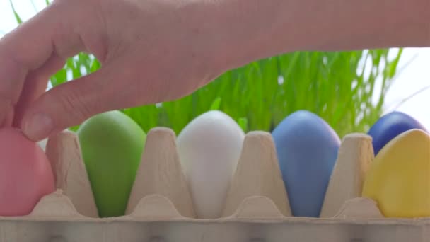 Пасха празднует. Руки кладут разноцветные окрашенные яйца в картонную коробку. закрыть видео. — стоковое видео