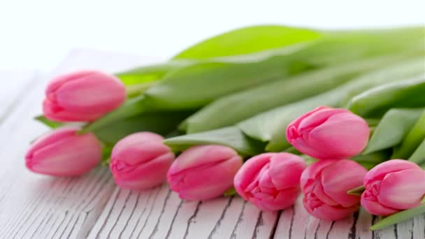 Strauß rosa Tulpen auf weißem Holzgrund. Konzept zum Frauentag, Muttertag, 8. März, 4K — Stockvideo