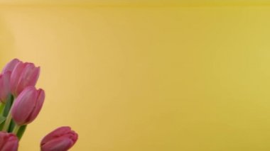 Bir buket lale. Elinde bir buket lale olan bir adam. Mans bir buket çiçek verir.