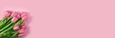 Pembe lale çiçekleri pembe arka planda. Anneler Günü için kart, 8 Mart, Mutlu Paskalyalar, Sevgililer Günü, Anneler Günü