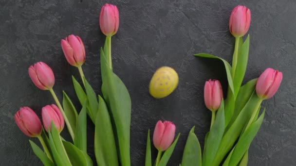 Easter colourful eggs rolling tulips on a dark concrete table with tulips. 4k video — Stock Video