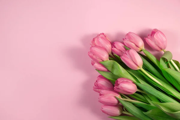 Flores de tulipanes rosados sobre fondo rosa. Tarjeta para el Día de las Madres, 8 de marzo, Feliz Pascua, San Valentín, Cumpleaños. Imágenes De Stock Sin Royalties Gratis