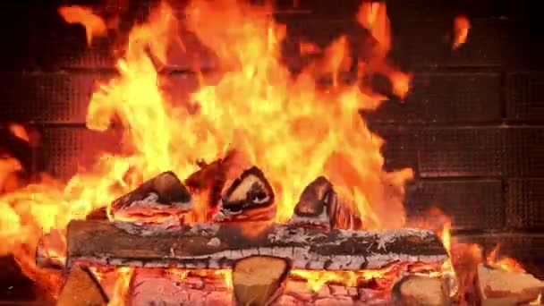 Fire is burning in the fireplace. Firewood. red coals of burned wood. — Stock Video