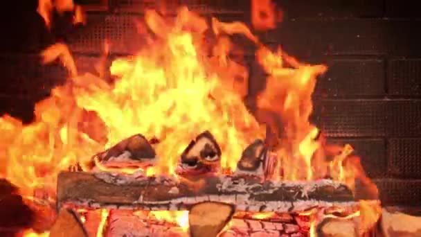 暖炉で火が燃えている。薪だ。オーブンで燃やされた木の赤い石炭. — ストック動画