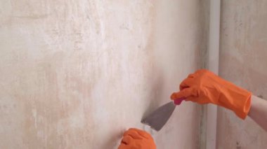 Duvarlardan eski duvar kağıtlarını söken bir kadın, tadilata hazırlanıyor.