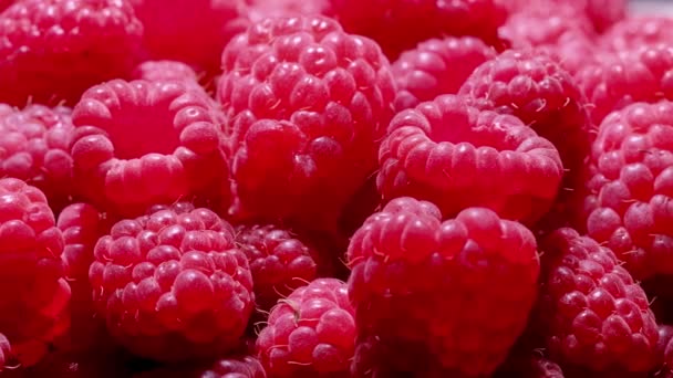 Berry Dolly ha sparato. Frutti di lampone freschi come sfondo alimentare. — Video Stock