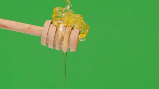 4K. fresh honey pouring and flowing from wooden dipper spoon on green background — Stock Video