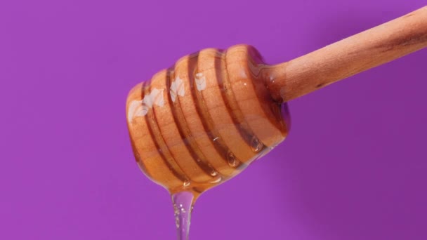 Närbild färsk vätska honung hälla och flödar från trä dipper sked — Stockvideo
