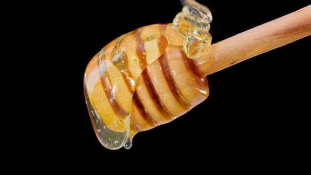 Cerca de miel fluida fresca vertiendo y fluyendo de cuchara de madera cazo en negro — Vídeos de Stock