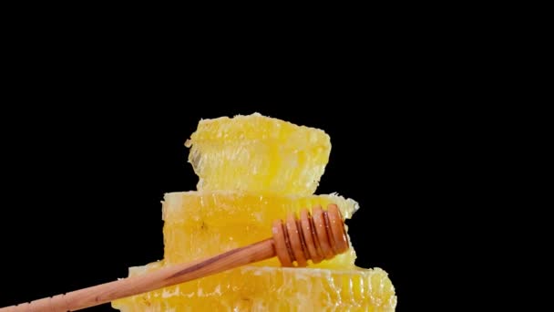 The honeycombs with fresh honey rotate slowly. Fresh honey flows on honeycomb — Stock Video