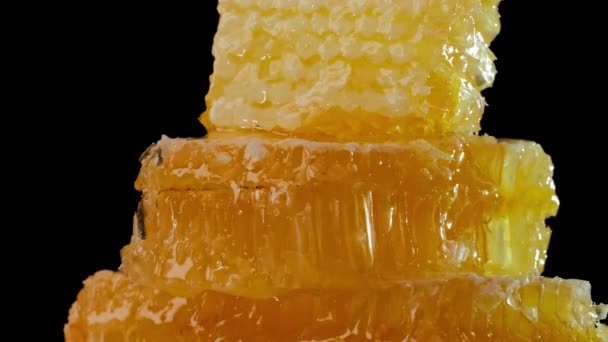 De honingraten met verse honing. Verse honing stroomt op de honingraat — Stockvideo