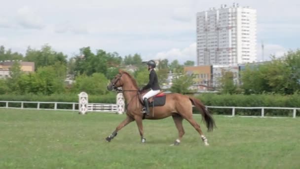 IZHEVSK, RUSIA, 07 de agosto de 2021. Jinetes a caballo. — Vídeo de stock