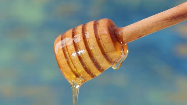 Cerca de miel fluida fresca que vierte y fluye de cuchara de madera del cazo en azul — Vídeo de stock