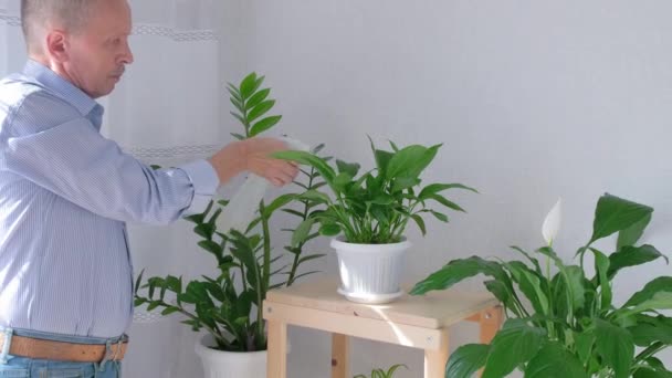 Senior man besproeit groene plant uit verdamper met water. — Stockvideo