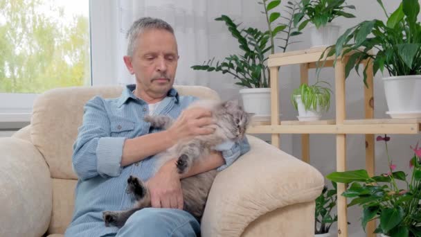 Senior man smeka katt sällskapsdjur när du sitter på fåtölj hemma. — Stockvideo