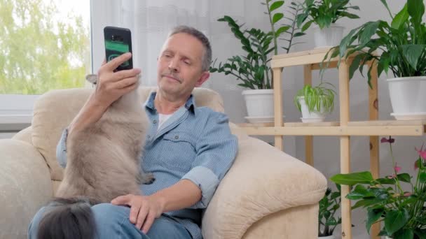 Senior man, terwijl zittend op fauteuil thuis met kat en met behulp van smartphone — Stockvideo