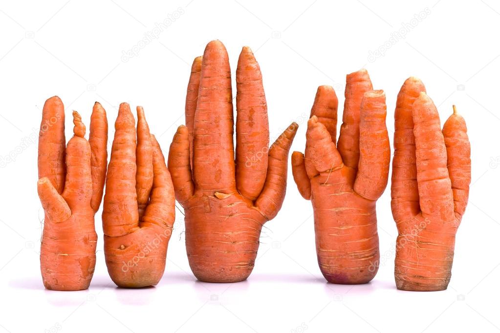 Unusual crop of carrots