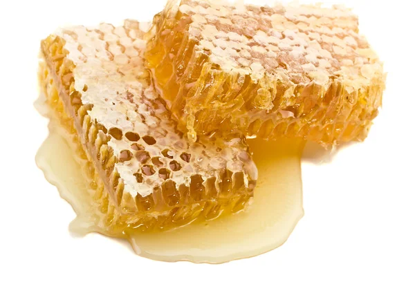 Honey comb on a white background — Stock Photo, Image