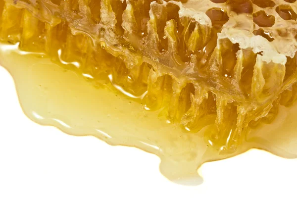 Slice of honeycomb — Stock Photo, Image