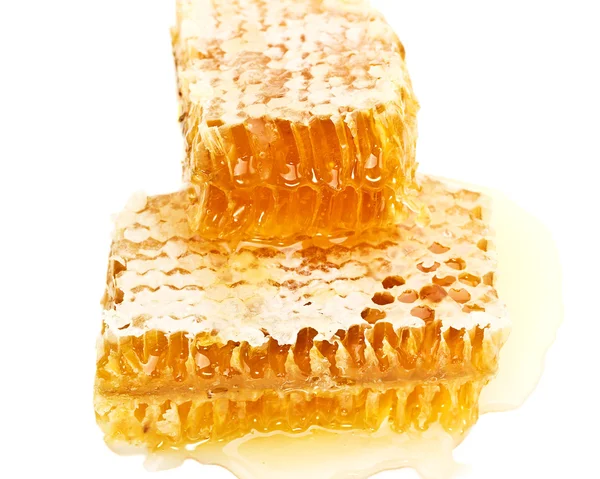 Two slices of honeycomb Stock Picture