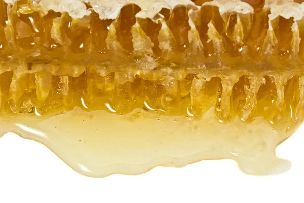 Honigwabe auf weißem Hintergrund. Vorteile für die Gesundheit — Stockfoto