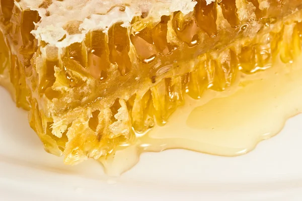 Honey comb on a white plate — Stock Photo, Image