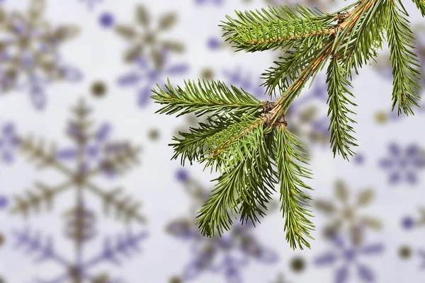 Les branches d'épinette sur fond de flocons de neige — Photo