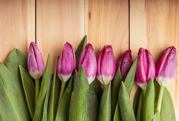 Tulipány na dřevěné pozadí — Stock fotografie
