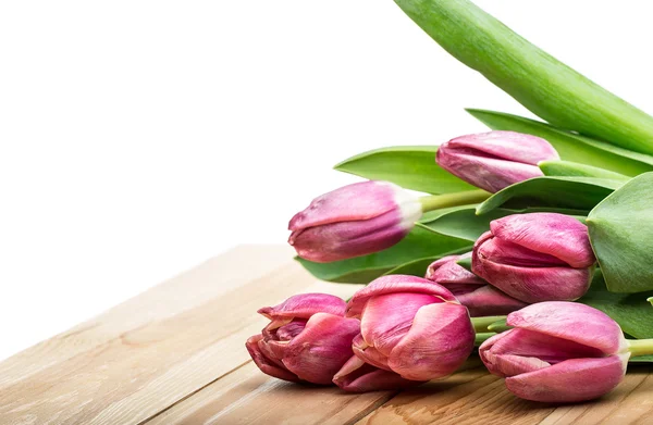 Rózsaszín tulipán fa háttér. Másolja a hely — Stock Fotó