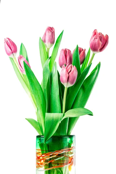 Tulips in a Vase — Stock Photo, Image