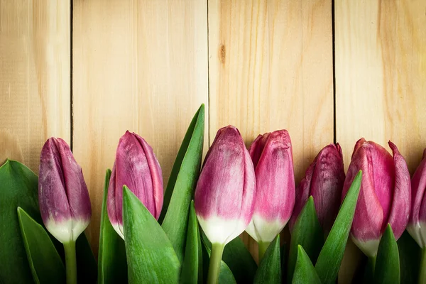 Tulipanes sobre fondo de madera. Copiar espacio —  Fotos de Stock