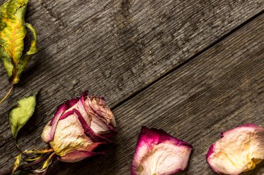 Solmuş gül ahşap zemin üzerinde