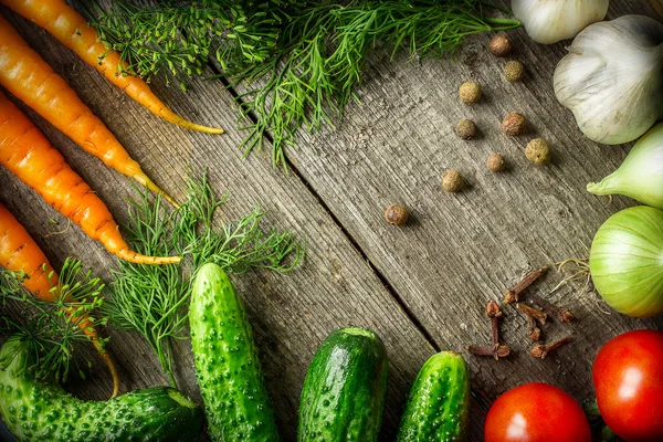 Hortalizas frescas ecológicas — Foto de Stock