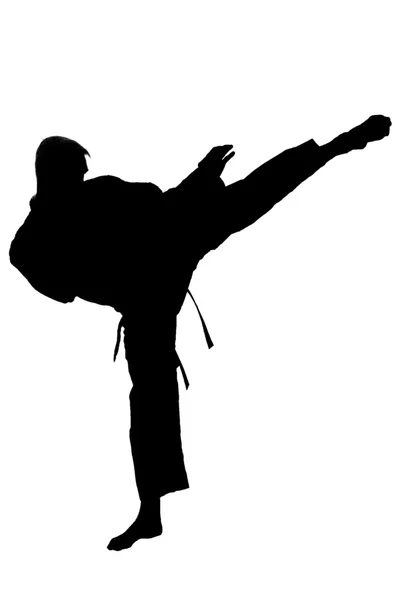 Karate eğitimi, siluet — Stok fotoğraf