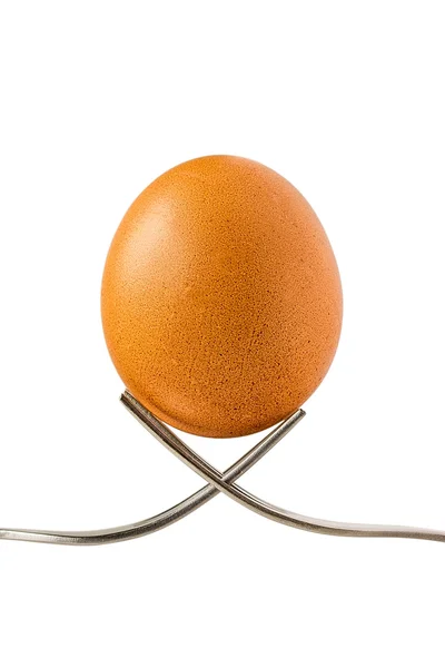 Коричневое яйцо на белом фоне — стоковое фото