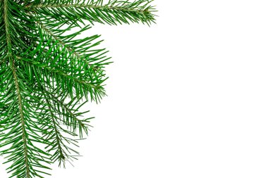 beyaz bitti izole Noel dekorasyon